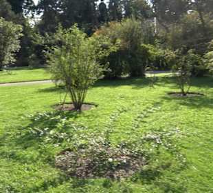 Botanischer Garten München