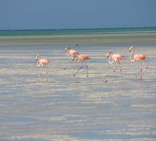 Fußmarsch von ca.1,5 km