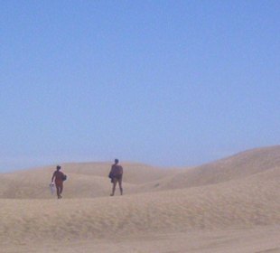 Dünen Playa del Ingles