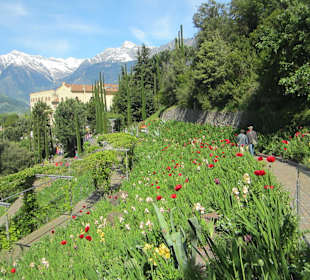 Gärten Schloss Trauttmansdorff in Meran