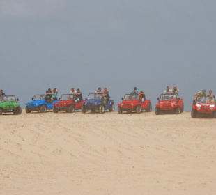Buggy Tour