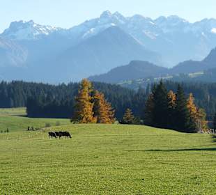 Wandern Obermaiselstein
