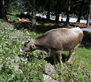 Krimmelské vodopády