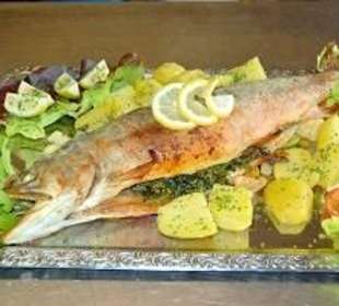 Fisch