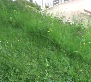 Johanneskirche Grüntal