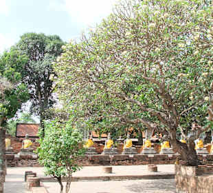 Historisches Ayutthaya