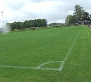 Bitte beschreiben Sie, was auf Ihren Bildern zu se