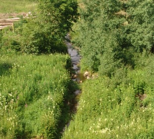 Wasserwanderweg „Buntenbocker Teiche“