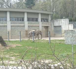Zoo Ostrava