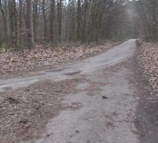 Unterjesinger Wengertwegle