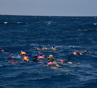 Schnorcheln Makadi Bay