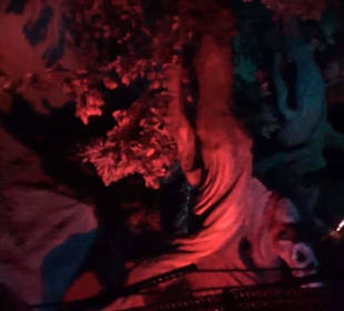 Chinatown - Geister Rickscha