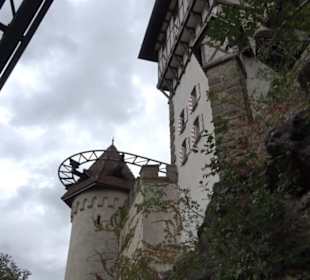 Erlebnispark Tripsdrill