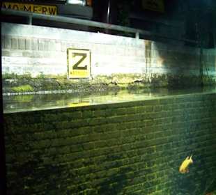 Das Leben in einer Gracht