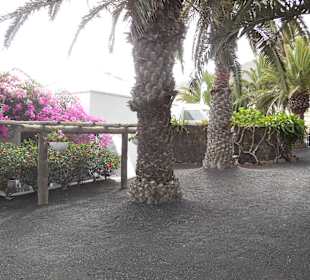 Museo Cesar Manrique