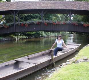 На территории Европа Парка