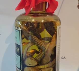 Einfuhr geschützter Tiere im Zollmuseum