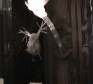 Naturhistorisches Museum