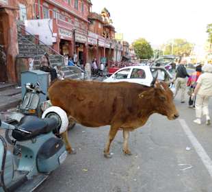 Strassenverkäufer und Geschäfte in Jaipur
