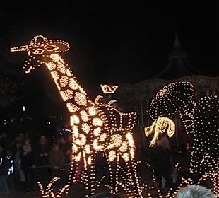 Hansapark Sierksdorf Lichtparade