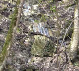 WasserfallsteigWasserfallsteig