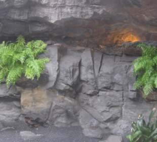 Fundacion Cesar Manrique