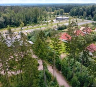 Fernblick