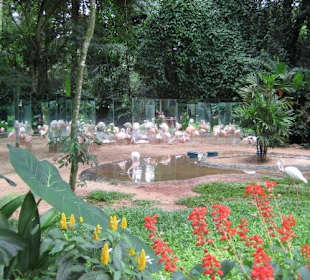 Exotische Fauna und Flora zum anfassen