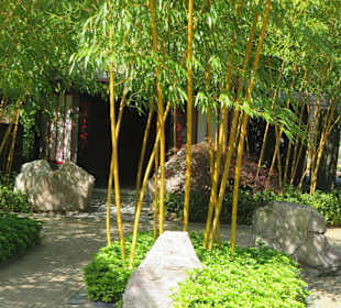 Bambusgarten