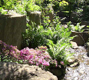 Koreanischer Garten