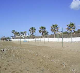 Egal wo man hin sieht Palmen