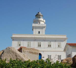 Capo testa