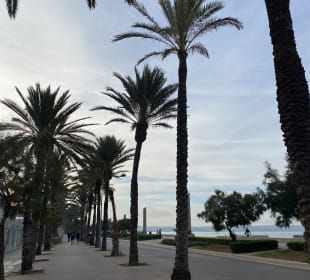 Strandpromenade Playa/Platja de Palma