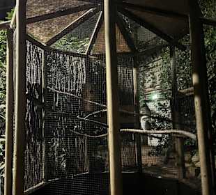 Modno Verde Halloween