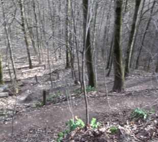 Wasserfallsteig