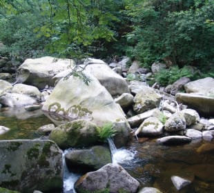 Okertal Rückweg Bild 9