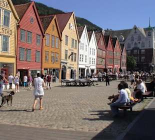 Holzhäuser in Bergen