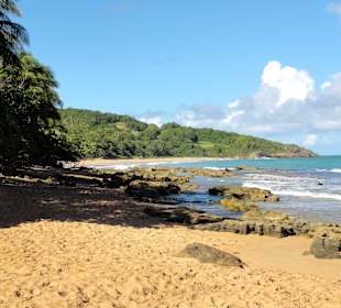 Spaziergang an der Plage de Clugny