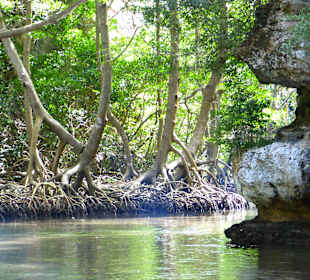 Ausflug Los Haitises