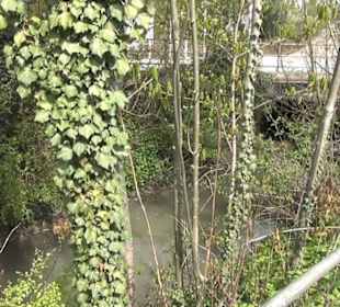 Fluss Breitenbach