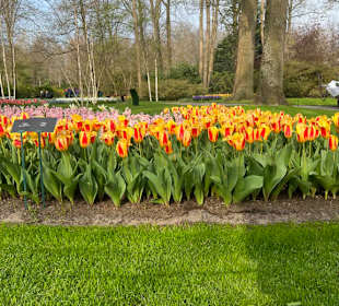 Keukenhof Holland
