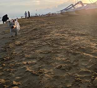 Weit laufen kann man auch