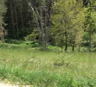 Premiumwanderweg Hochgehschätzt