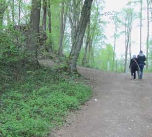 Südamerika Bereich - Naturbelassener Rundweg