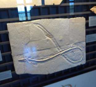 Jura-Museum