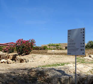 Paphos Archaeological Park