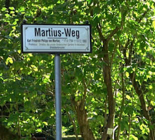 Botanischer Garten München