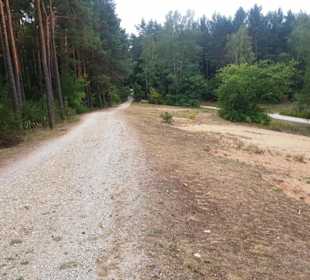 Oberhalb vom Birkensee Rad-/Fußweg