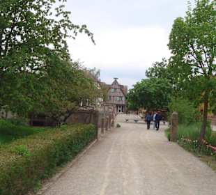 Ecomusée
