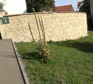 Friedhof Kohlstetten